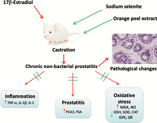 nonbacterial prostatitis psa)